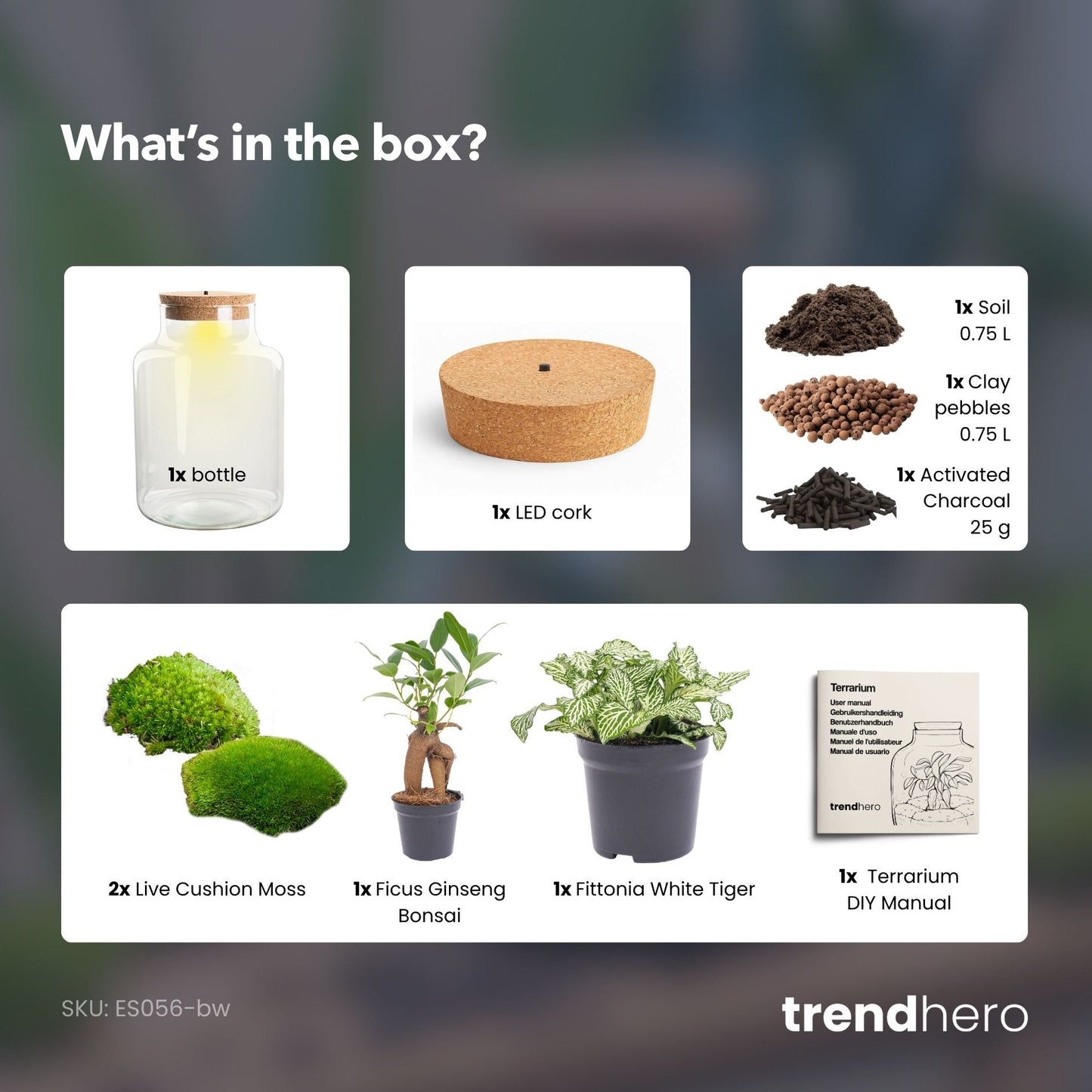 Little Milky - Terrarium with light - Bottle garden DIY kit - Ø 17 cm ↑ 25 cm