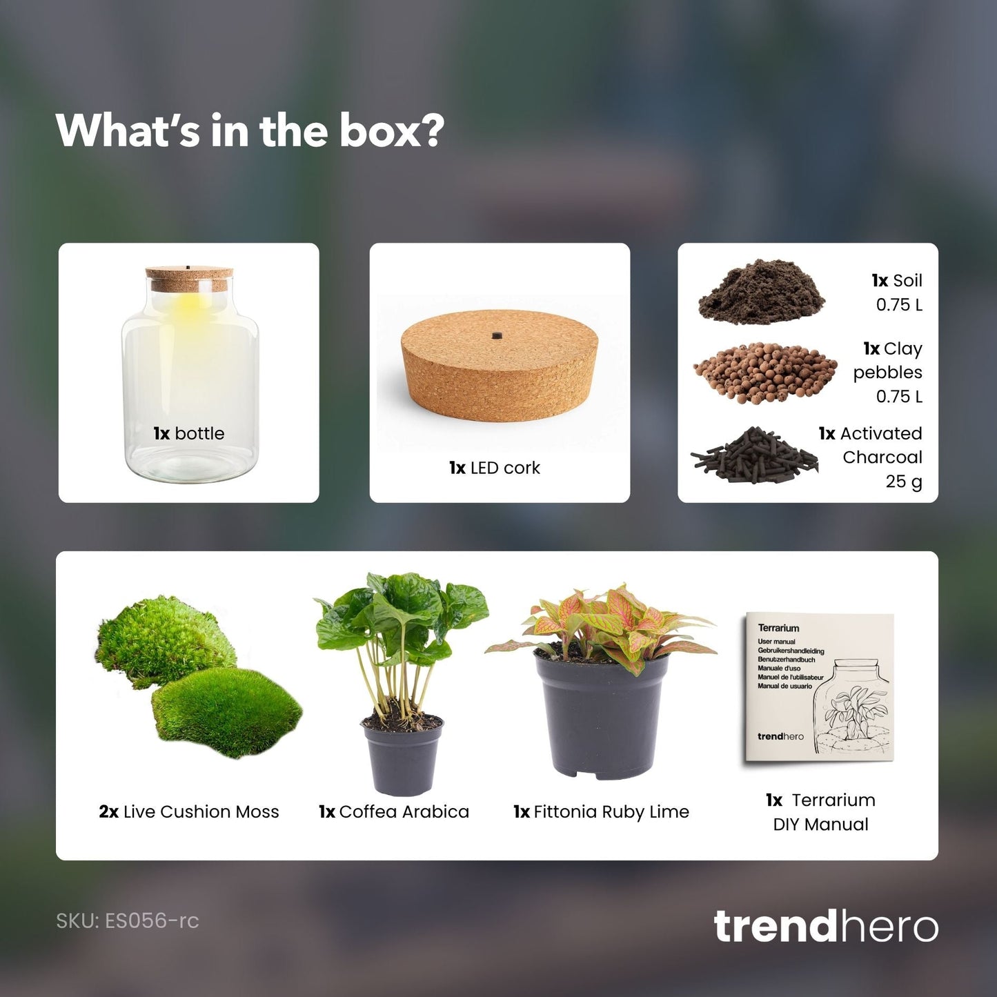 Little Milky - Terrarium with light - Bottle garden DIY kit - Ø 17 cm ↑ 25 cm