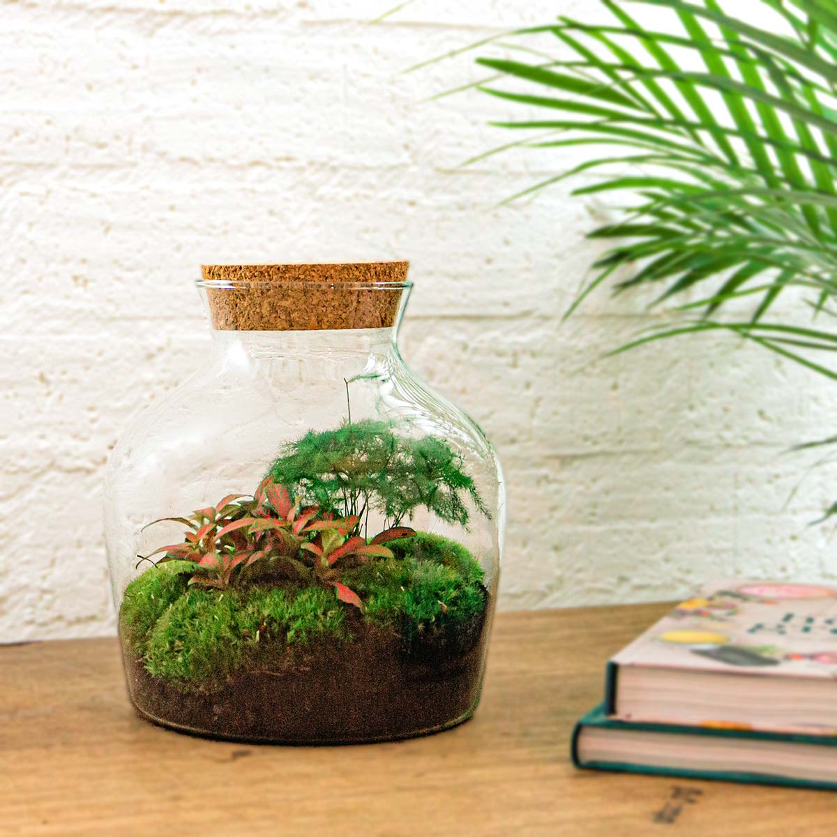Terrarium DIY Kit with LED lightning - Little Joe - Bottle Garden - ↑ 21.5 cm