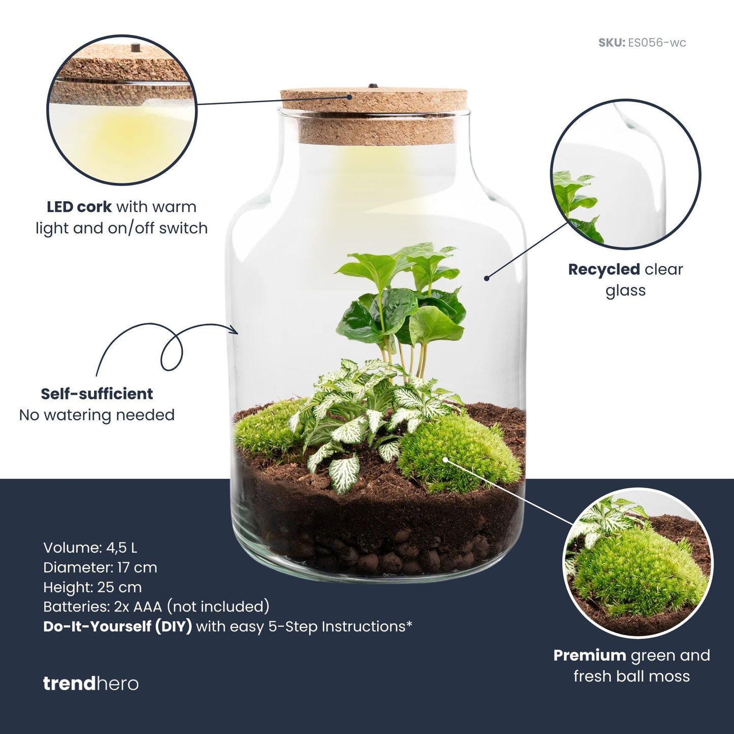 Little Milky - Terrarium with light - Bottle garden DIY kit - Ø 17 cm ↑ 25 cm