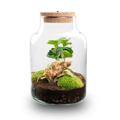 Little Milky - Terrarium with light - Bottle garden DIY kit - Ø 17 cm ↑ 25 cm