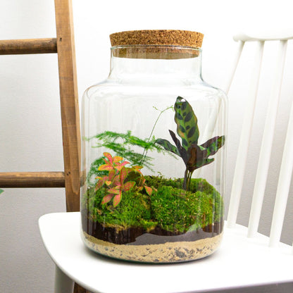 Mini DIY terrarium kit by Florazo NL featuring a milk jug-shaped eco-system with plants and decorative elements.