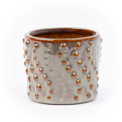 Mini Christmas tree set 6 - Includes pot set Madrid