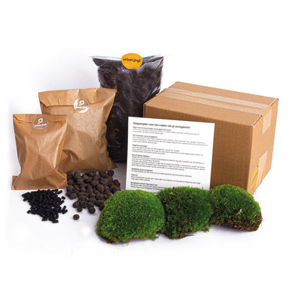 Large Florazo NL DIY plant terrarium package with glass container, soil, plants, and decorative elements for creating a lush terrarium.