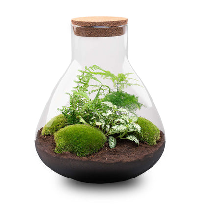 Green DIY terrarium kit by Florazo NL with glass container, plants, and decorative elements for creating a miniature garden.