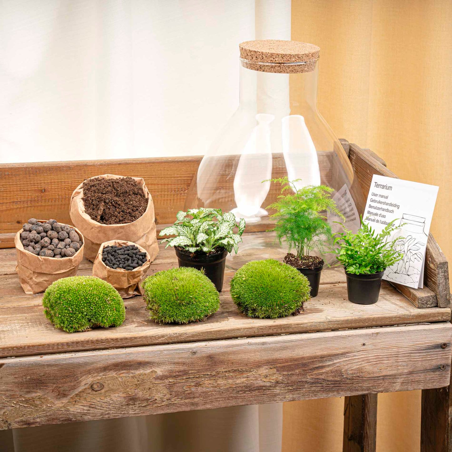 Terrarium DIY Kit - Sam XL - Bottle Garden - ↑ 32 cm