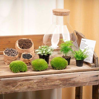 DIY terrarium kit by Florazo NL with glass container, plants, and decorative elements for creating a stylish mini indoor garden.