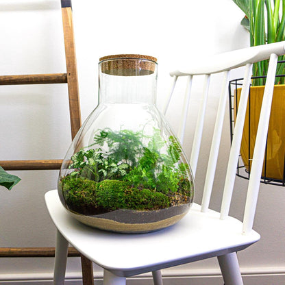 DIY Terrarium Kit from Florazo NL featuring glass container, soil, plants, and decorative elements for creating a custom terrarium.