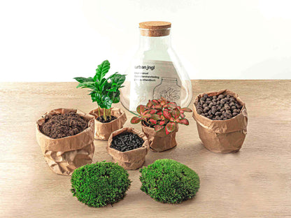 Terrarium DIY Kit - DIY Terrarium Online | Florazo
