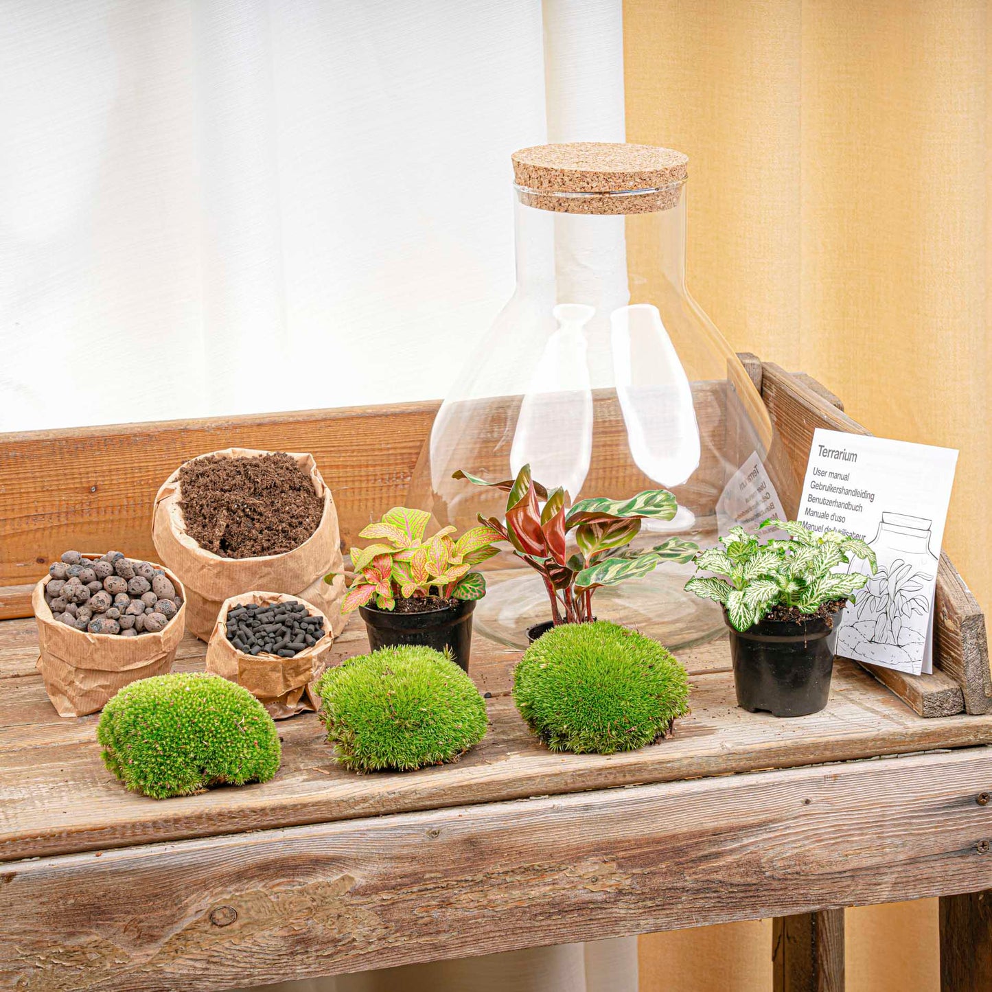 Terrarium DIY Kit - Sam XL Red - Bottle Garden - ↑ 32 cm