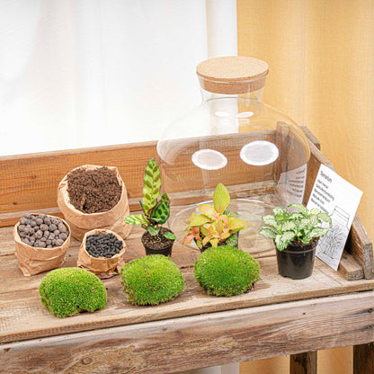 DIY terrarium kit by Florazo NL with glass container, plants, and decorative elements for creating a mini indoor garden.
