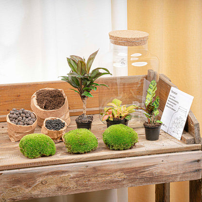 DIY terrarium kit with Milky Palm in a 30cm glass bottle garden by Florazo NL, perfect for creating a stylish plant display.
