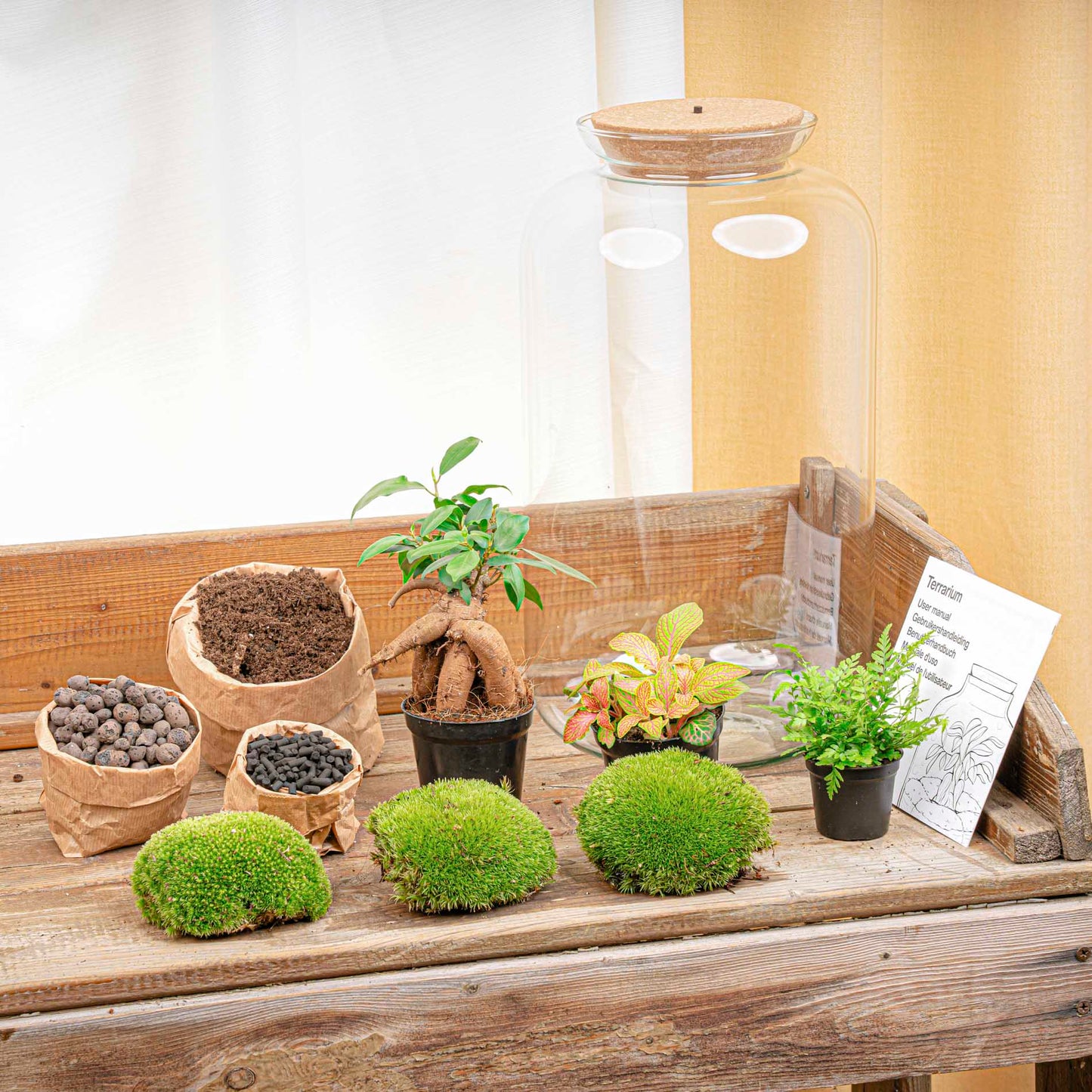 Terrarium DIY Kit - Sven Ginseng Bonsai XL - With light - Bottle Garden - ↑ 43 cm