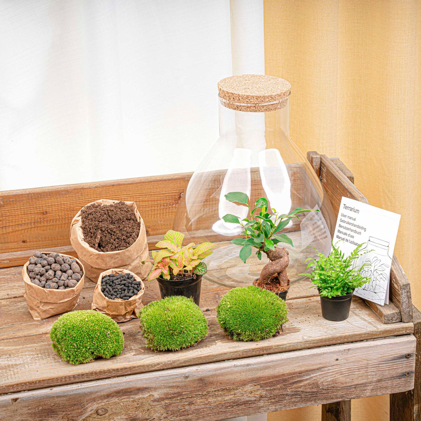 Terrarium DIY Kit - Sam XL Bonsai -  Bottle Garden - ↑ 32 cm